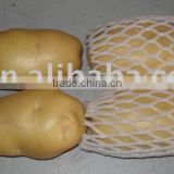 holland fresh potato