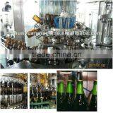 Automatic Beer Filling Machine Production Line Prices