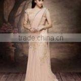 Goodness Beige Georgette On Net Designer Lehenga Choli/indian Lehenga Online Shopping thumbnail-2