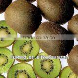 Chinese fresh kiwi