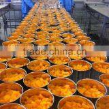 Qingdao Jutai International Trade Co., Ltd. company overview - view 3 thumbnail