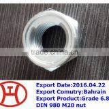Grade 6.8 DIN 980 M20 Nut