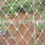 Protection Mesh thumbnail-2