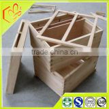 Chinese Bee HIve Pine Wood 2 Layer Frames Hive For Australia Standard High Quality Solid Wood Bee House Hive
