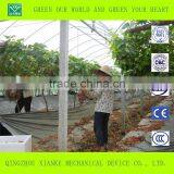 Multi-Span Commercial Polycarbonate Greenhouse for Sale thumbnail-4