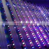 Wholesale Abibaba 54x1W LED Grow Bar Light for Vertical Farming thumbnail-1