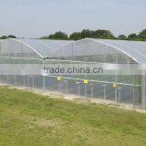Cheap Easily Inatalled Plastic Film Vegetable Greenhouse thumbnail-5