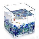 Home Table Decoration Square Clear Glass Plant Hydroponic Container Flower Vases thumbnail-4