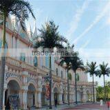 Plastic Fiber King Coconut Tree Green Park Artificial King Coconut Tree thumbnail-2