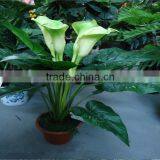 Manufacturer Artificial Bonsai Plant Sale Plastic Flower Shrubs Decorative Artificial Bonsai thumbnail-1