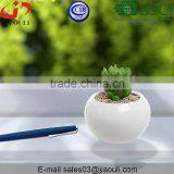 Glazed White Small Round Modern Ceramic Succulent Planter Pot thumbnail-4