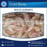 Best Quality Cost Effective White Shrimps of Natural Taste at Low Price thumbnail-4