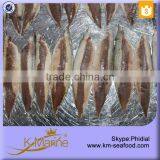 Boneless and Skinless Precooked Frozen Mackerel Fillet thumbnail-4