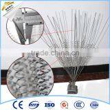 Bird Spikes/Pigeon Spikes/Steel Bird Spikes thumbnail-1
