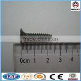 Daywall Screw thumbnail-1