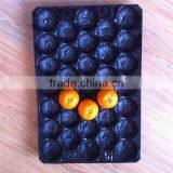 Fresh Produce Packaging Black Disposable Plastic Divided Food Tray thumbnail-4