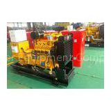 50Hz/60Hz 1500rpm/18000rpm 65kw Industrial Natural Gas Backup Generator With Flame Arrester