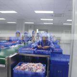 Shenzhen Jinlongxing Plastic Co., Ltd. company overview - view 3 thumbnail
