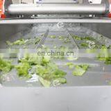 Industrial Automatic Vortex Fruit and Vegetable Washing Machine thumbnail-7