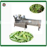 Lettuce Leaf Vegetables Washing Machine Cabbage Air Bubble Washing Machine for Food Factory thumbnail-7