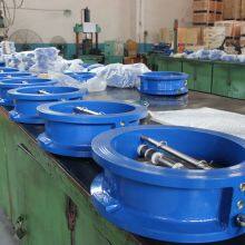 DI Duo Plate Check Valve PN10/16 thumbnail-1