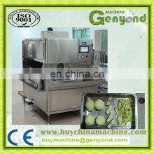 Dried Mango Processing Plant thumbnail-2