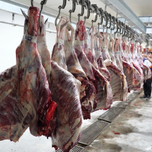 Cow Slaughtering House Processing Convey Rail For Cattle Slaughter Line thumbnail-5