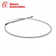 BENTLY NEVADA 330104-00-24-10-02-00 thumbnail-2