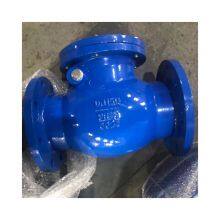 DIN PN16 Cast Iron GG25 GGG50 Ductile Iron Flange Swing Check Valve Swing Check Valve thumbnail-1