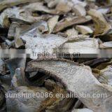 Market Prices for Mushroom thumbnail-1