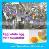 5400eggs/h Stainless Steel Kitchen Whisk Tools Egg Beater thumbnail-3