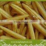 Fresh baby corn in can