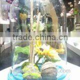 Large Glass Bell Jar With Colored Wooden Base thumbnail-2