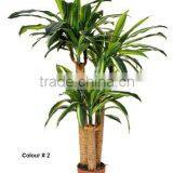 120 cm Artificial Dracaena Fragrans Massangeana Colour #2