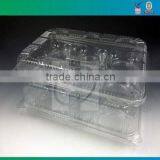 PET Clear Pastic Food Disposable Container