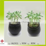 mini size new design and hot sale ceramic plant pot