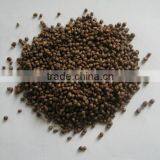 High Efficient Diammonium Phosphate (DAP 18-46-0) Granular Quality Choice