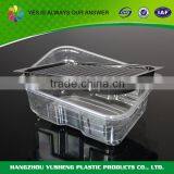 OEM Service Supply Type Plastic Packaging for Dried Mango thumbnail-5