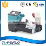 Brushless DC 12v Real Flame Fireplaces Pump thumbnail-1