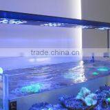 2016 Hot Selling Programmable Full Spectrum Coral Reef Used Led Aquarium Light thumbnail-3
