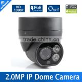 Waterproof Outdoor 2Pcs Array Leds NightVision IR 30M 2.0MP IP Dome Camera With 4mm Lens