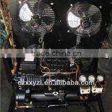 Small Deep Freezer Cold Room Copeland Refrigertor Compressor 220v 50hz thumbnail-3
