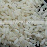 Organic Rice (Short Grain Variants) thumbnail-2