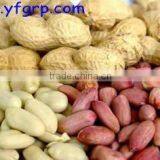 Blanced Peanut Kernels thumbnail-1