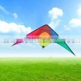 Dual Line Delta Stunt Kites - Curved Edge Kites thumbnail-1