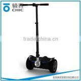 20kms Range Per Charge and 700w Power 2 Wheel Electric Chariot for Sale