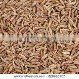 CUMIN SEED MACHIN CLEAN thumbnail-4