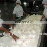 Hight Fat Desiccated Coconut thumbnail-3