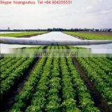 PP Spunbond Non-woven Fabric Roll for Agriculture 60gsm