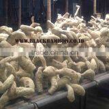 Bamboo Root Large Size thumbnail-1